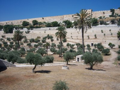 The Kidron Valley is surrounded by and filled with tombs, some historic and others quite contemporary. Burials were not permitted within the city walls, so the valley became a convenient place for the tombs.